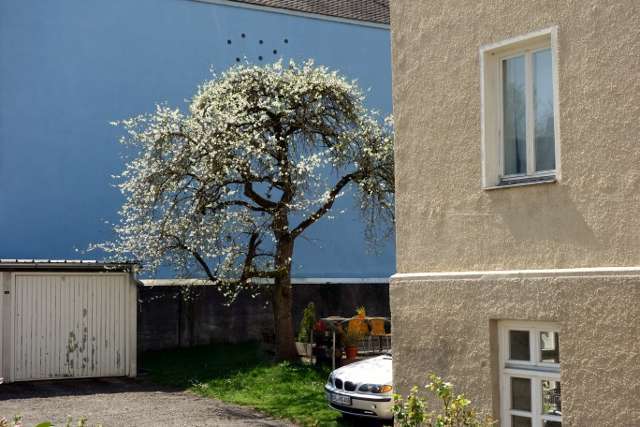 Augsburg Corona Ostern April 2020 196 640x427