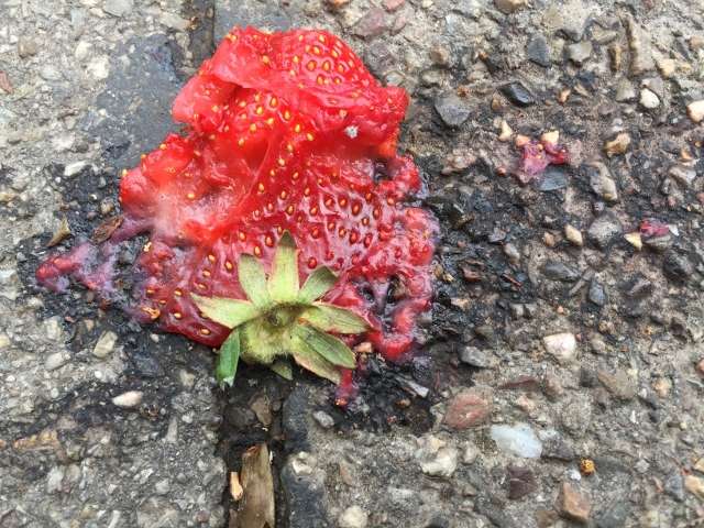 E Mai 2019 272 640x480