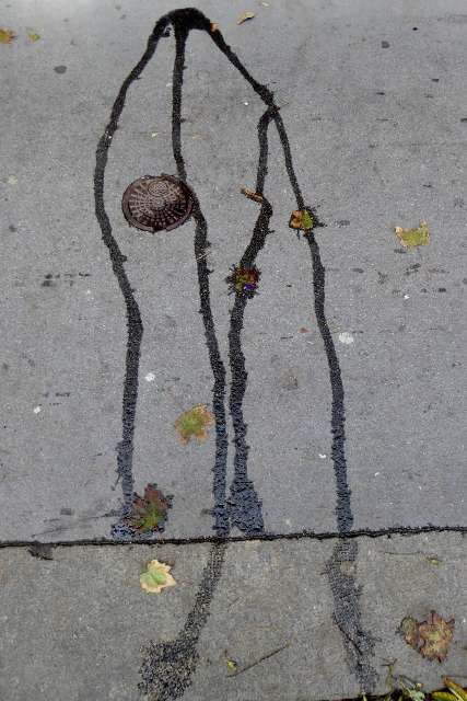 Wien l 201 427x640