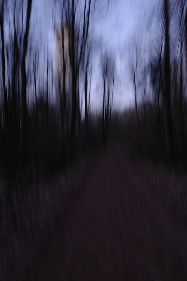 Waldweg, Saarbrücken