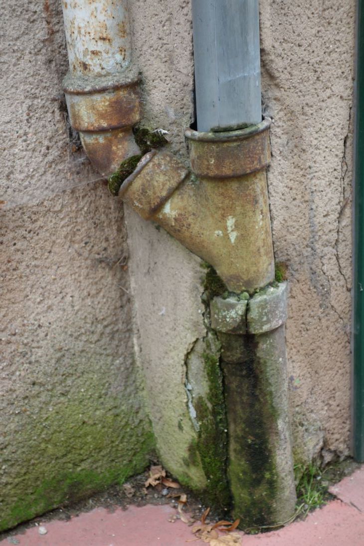 verzweigung, Metz, Michael Schreiner